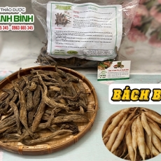 Mua bán củ bách bộ tại quận 4 giúp trị chảy máu mũi uy tín