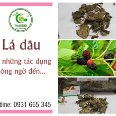 Mua bán lá dâu ở quận Gò Vấp giúp làm sáng mắt tốt