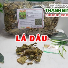 Mua bán lá dâu tại quận 9 rất tốt trong điều trị mụn trứng cá tàn nhang