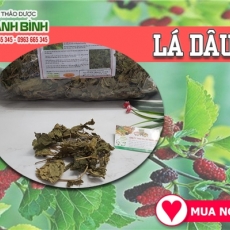 Mua bán lá dâu tại TP.HCM uy tín chất lượng tốt nhất