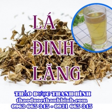 Mua bán lá đinh lăng tại Cà Mau giúp lợi sữa trị họ hiệu quả