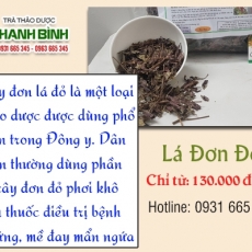 Mua bán lá đơn đỏ ở quận Thủ Đức có tác dụng cải thiện trí nhớ an toàn hiệu quả nhất