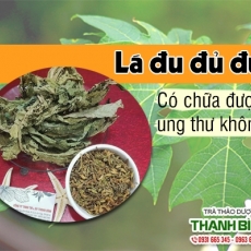 Mua bán lá đu đủ đực tại TP.HCM uy tín chất lượng tốt nhất