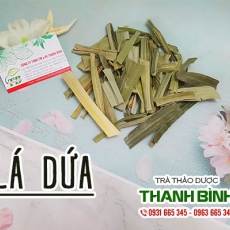Mua bán lá dứa tại quận 10 giúp giảm đau nhức xương khớp rất tốt