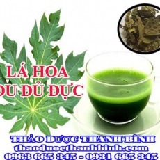 Mua bán lá hoa đu đủ đực tại Bình Định giúp lọc bỏ độc chất trong máu kháng ung thư hiệu quả