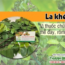 Mua bán lá khế ở quận Bình Tân có công dụng trị dị ứng ngoài da tốt nhất