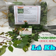 Mua bán lá khế ở quận Phú Nhuận giúp tăng cường khả năng hấp thụ các chất dinh dưỡng tốt nhất