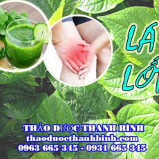 Mua bán lá lốt tại Đồng Tháp giúp điều trị đau nhức xương khớp cân hiệu quả