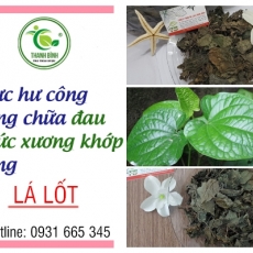 Mua bán lá lốt tại quận 5 giúp trị viêm nhiễm âm đạo hiệu quả tốt nhất