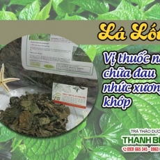 Mua bán lá lốt tại TP.HCM uy tín chất lượng tốt nhất