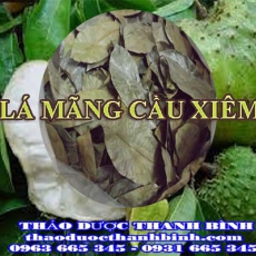Mua bán lá mãng cầu xiêm tại Bạc Liêu giúp hạ huyết áp an thần hiệu quả