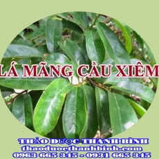 Mua bán lá mãng cầu xiêm tại Bạc Liêu uy tín chất lượng nhất