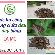 Mua bán lá mơ ở huyện Cần Giờ có tác dụng giúp nhanh lành vết thương tốt nhất