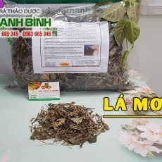Mua bán lá mơ ở huyện Cần Giờ điều trị chứng cảm lạnh hiệu quả nhất
