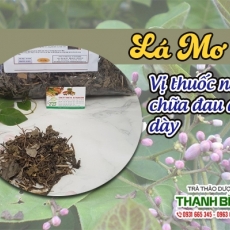 Mua bán lá mơ tại TP.HCM uy tín chất lượng tốt nhất