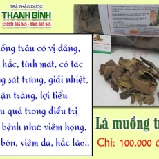Mua bán lá muồng trâu tại TP.HCM uy tín chất lượng tốt nhất