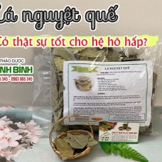 Mua bán lá nguyệt quế tại TP.HCM uy tín chất lượng tốt nhất