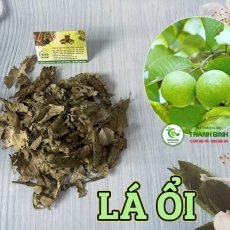 Mua bán lá ổi chất lượng giá tốt nhất ở đâu