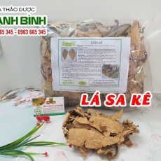 Mua bán lá sa kê ở quận Tân Bình hỗ trợ điều trị bệnh gout rất tốt