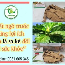 Mua bán lá sa kê tại quận 6 có tác dụng giúp lợi tiểu hiệu quả tốt nhất