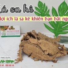 Mua bán lá sa kê tại TP.HCM uy tín chất lượng tốt nhất