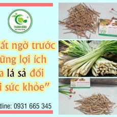Mua bán lá sả tại quận 10 có tác dụng làm đẹp da hiệu quả