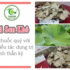Mua bán lá sen khô tại TP.HCM uy tín chất lượng tốt nhất