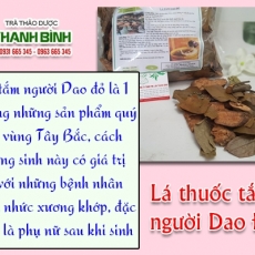 Mua bán lá thuốc tắm Dao Đỏ tại TP.HCM uy tín chất lượng tốt nhất