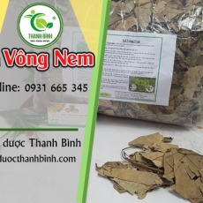 Mua bán lá vông nem tại TP.HCM uy tín chất lượng tốt nhất
