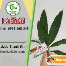 Mua bán lá xoài ở huyện Bình Chánh giúp giảm đường huyết nhanh chóng hiệu quả nhất