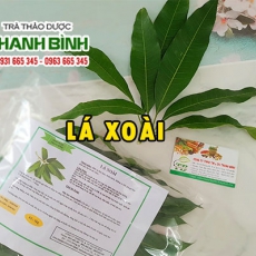 Mua bán lá xoài ở huyện Nhà Bè có khả năng hạ đường huyết hiệu quả