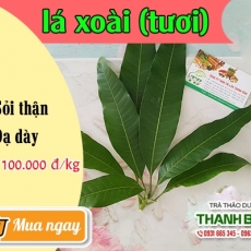 Mua bán lá xoài tại TP.HCM uy tín chất lượng tốt nhất