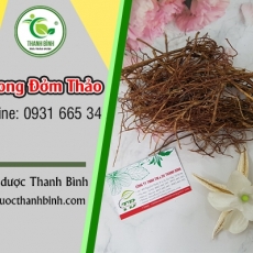 Mua bán long đởm thảo tại TP.HCM uy tín chất lượng tốt nhất
