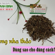 Mua bán long nha thảo tại TP.HCM uy tín chất lượng tốt nhất