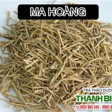 Mua bán ma hoàng tại quận 4 giúp điều trị hen phế quản cấp uy tín nhất