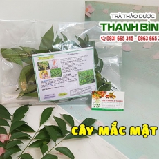 Mua bán mắc mật tại quận 8 có tác dụng lợi mật mát gan an toàn hiệu quả