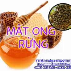 Mua bán mật ong rừng tại Cao Bằng uy tín chất lượng nhất