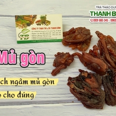 Mua bán mủ gòn ở quận Gò Vấp giúp cải thiện hệ tiêu hóa tốt