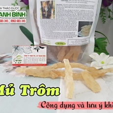 Mua bán mủ trôm ở quận Tân Phú có tác dụng nhuận tràng hiệu quả tốt