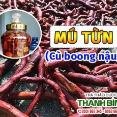 Mua bán mú từn ở huyện Nhà Bè rất tốt trong điều bệnh thoái hóa cột sống