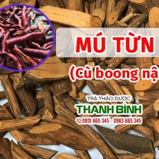 Mua bán mú từn tại huyện Sóc Sơn chữa vết thương ngoài da hiệu quả