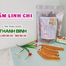 Mua bán nấm linh chi tại quận 1 giúp điều trị viêm phế quản hiệu quả