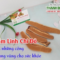 Mua bán nấm linh chi tại quận 10 có tác dụng tăng cường trí nhớ hiệu quả
