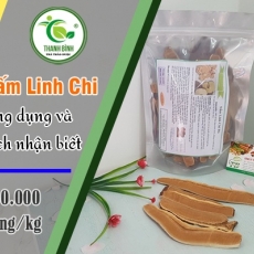 Mua bán nấm linh chi tại TP.HCM uy tín chất lượng tốt nhất