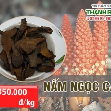 Mua bán nấm ngọc cẩu ở huyện Cần Giờ có tác dụng chữa nám da hiệu quả nhất