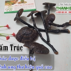 Mua bán nấm trúc tại quận 11 giúp ăn ngon an toàn nhất