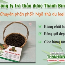 Mua bán ngô thù du ở quận Thủ Đức có tác dụng lợi tiểu an toàn hiệu quả