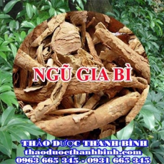 Mua bán ngũ gia bì tại Bắc Ninh uy tín chất lượng nhất