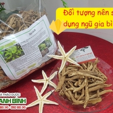 Mua bán ngũ gia bì tại quận 7 có khả năng trị cơ thể mệt mỏi rất hiệu quả tốt nhất