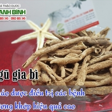 Mua bán ngũ gia bì tại TP.HCM uy tín chất lượng tốt nhất